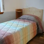 Casa Screm - E -rigolato - Ud 3* Rigolato